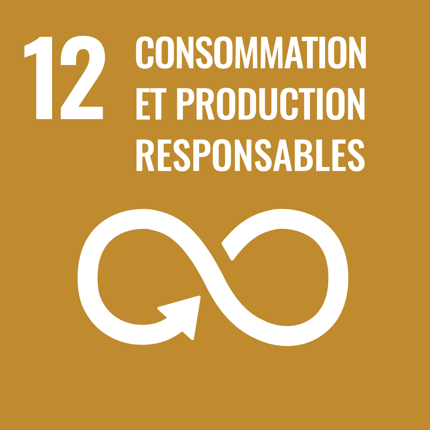 SDG 12&nbsp;- Consommation et production responsables